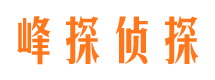 花垣外遇取证